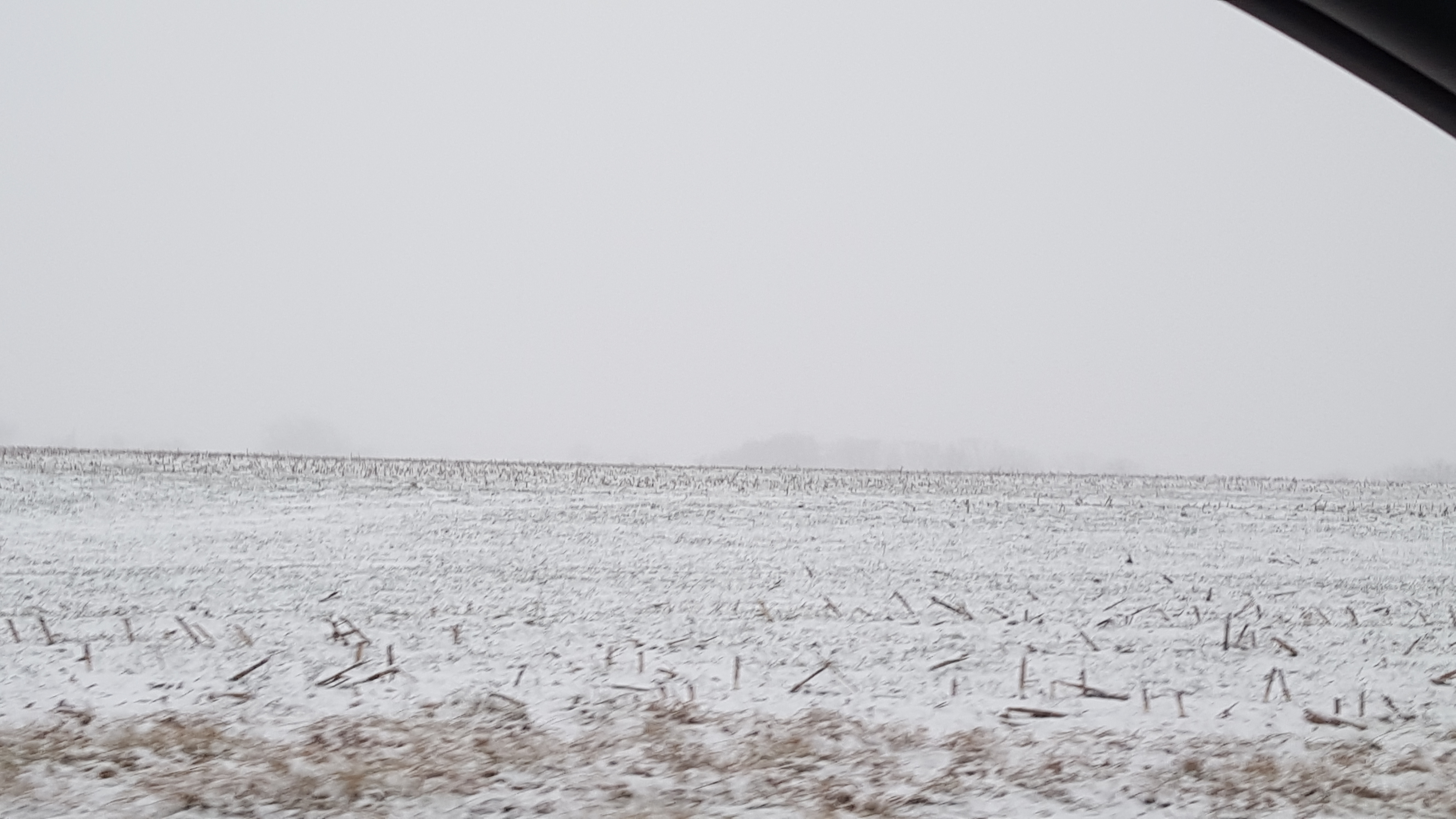 pic of snowstorm
